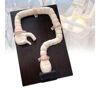 Modèle d'entraînement à la coloscopie - Simulateur de sigmoïdoscope humain pour enseignement et démonstration d'étude