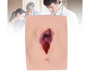 Modèle d'entraînement à la suture vulvaire, modèle avancé de formation à la suture d'épisiotomie, réutilisable pour les études de médecine,CenterCut