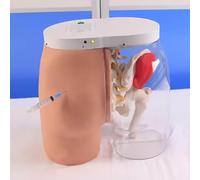 Modèle d'entraînement à l'injection de fesses, modèle de pratique de l'injection de hanche, avec alarme d'erreur de fonctionnement, alarme sonore, pour la pratique infirmière