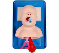 Modèle d'entraînement à l'intubation de la trachée néonatale, mannequin pédiatrique pour l'éducation en laboratoire, pratique réaliste de l'intubation infantile