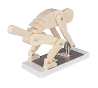 Modèle d'entraînement de colonne vertébrale lombaire, correcteur de posture en PVC pour l'éducation biomécanique et la sécurité de la salle de sport, modèle de démonstration des proportions réelles