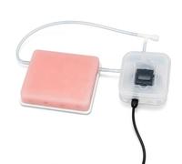 Modèle d'entraînement de perforation vasculaire guidée par ultrasons avec pompe de circulation