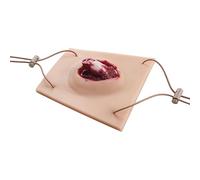 Modèle d'entraînement for fracture de modèle ouvert de membre, bandage de plaie de fracture et formation de suture, entraîneur d'emballage de plaie ouverte, contrôle de l'hémostase, réutilis