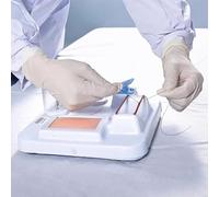 Modèle d'entraînement pour la simulation médicale - Modules intestinaux et vasculaires pour l'éducation des médecins