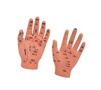 Modèle d'entraînement professionnel pour le massage des nourrissons avec points d'acupuncture marqués pour l'éducation des soins infirmiers et les soins à domicile Modèle d'anatomie pour bébé