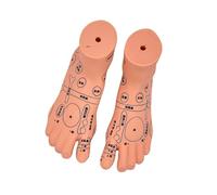 Modèle d'entraînement professionnel pour le massage des nourrissons avec points d'acupuncture marqués pour l'éducation infirmière et les soins à domicile Modèle de pratique du massage en PVC