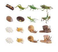 Modèle D'évolution Animale 16 Pièces en Abs, Jouet Éducatif | Simulation Réaliste, Apprentissage Jeu, Décoration Intérieure, pour Garçon et Filles, Lot de Seize Modèles Couleur Aléatoire