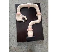 Modèle d'examen de coloscopie 1 pièce - Simulateur d'intestin humain for la formation et l'enseignement de la sigmoïdoscopie