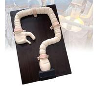 Modèle d'examen de coloscopie avec plusieurs modules de maladies intestinales pour étude médicale et affichage, améliorant la compréhension de la structure interne et de la pathologie