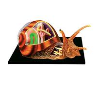 Modèle Didactique 4D Amovible pour L'anatomie des Insectes, Biologie Didactique, Modèle D'organe D'insectes, Puzzle pour L'assemblage