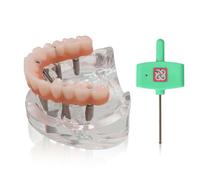 Modèle d'implant dentaire à double arcade, système de formation pour prothèses supra-dentaires All-On-6 et All-On-4, bases transparentes pour maxillaire et mandibule