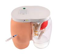 Modèle d'injection fessière, simulateur d'entraînement d'injection fessière semi-transparent pour une technique et une profondeur d'injection correctes