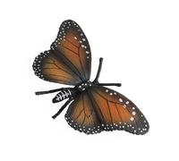 Modèle D'insecte, Figurine en Plastique de Haute qualité, Jouet Animal pour L'éducation, Jouet Léger pour Enfants, Simulation, Diverses Options Disponibles pour Apprendre et à la Maison (#1)