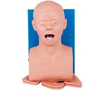 Modèle d'intubation pour Adulte, modèle d'enseignement de Mannequin d'intubation pour Adulte en PVC, simulateur de Forma