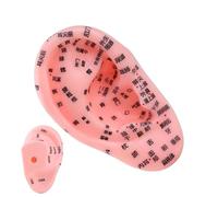 Modèle D'oreille De Zone Réflexe - Affichage D'anatomie En PVC De 13 Cm, Outil Éducatif De Massage, Aide Pédagogique Pour Les Professionnels Débutants Au Collège Scolaire | Cours En Classe Étude À Dom