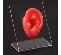 Modèle d'oreille en Silicone for la Pratique du perçage(Red Left)