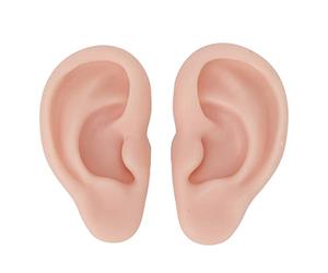 Modèle d'oreille en silicone, modèle souple et flexible gauche et droit pour la pratique du perçage d'oreilles, parties du corps en silicone, moule d'oreille en silicone(Couleur chair moyenne)