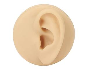 Modèle D'oreille En Silicone, outchouc Modèle d'oreille Flexible, Empreinte Du Canal Auditif Long Prenant Des Outils D'apprentissage Pratiques Fausse Oreille, à gauche, présentoir de oux