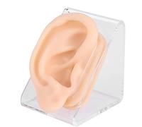 Modèle d'oreille en silicone pour l'acupuncture, fausse oreille humaine avec support d'affichage, Modèle D'oreille Humaine Fausse Oreille Flexible pour la pratique de l'acupuncture