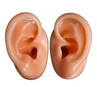 Modèle d'oreille humain avec support, simulation en silicone pour enseigner l'acupuncture, le crochetage des oreilles et le perçage d'oreille - 2 outils éducatifs pour la pratique de l'anatomie
