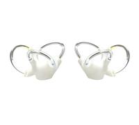 Modèle d'oreille interne - Modèle dynamique d'otolithe de canal semi-circulaire pour la rééducation vestibulaire cochléaire - Outil d'étude pédagogique