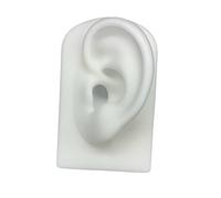 Modèle D'oreille, Oreille Modèle Prop Oreille Outil Piercing Exercice Boucle D'oreille Outil D'affichage de Goujon D'oreille, pour Outils Pédagogiques Affichage Bijoux Boucles D'oreilles , blanche