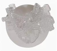 Modèle d'oreillette gauche de physiologie 3D de cœur Transparent 1:1, modèle de Simulation de moniteur de pouls et de rythme, for outil d'enseignement médical(B Multi-hole left atrium)