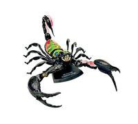 Modèle d'organe de Scorpion 4D - anatomique Animal Anatomie adaptée au modèle d'enseignement médical