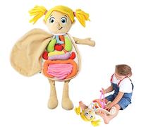 Modèle D'organe du Corps Humain en Peluche, Jouet en Peluche, Structure D'organe, Poupée éducative pour Enfants, Matériau Sûr, Aide Pédagogique Amusante pour la Leçon D'anatomie