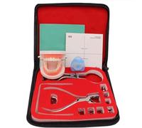 Modèle d'organe Humain, kit de Pratique de Digue endodontique avec Planche à poinçonner et modèle de Dents pour Examen de praticien buccal, Rouge