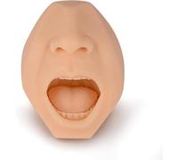 Modèle d'organe Humain Modèle de Formation de Test d'écouvillon de Gorge, Taille réelle de simulateur de Collecte d'écouvillon pour l'affichage d'étude de e Sciences