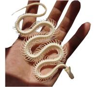Modèle d'os de squelette de serpent taille réelle 1:1 - Modèle de spécimen de squelette de serpent pour l'art des vétérinaires - Médecine pour l'éducation scientifique, l'enseignement scolaire
