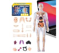 Modèle du Corps Humain 3D | Modèle de Squelette Humain Jouet Éducatif | Jouet Éducatif STEM à Assembler pour Enseignants Élèves Parents École Maison Science Anatomie