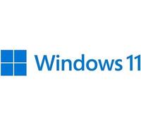 Microsoft Système d'exploitation Windows 11 Home (Néerlandais) – Version complète ESD