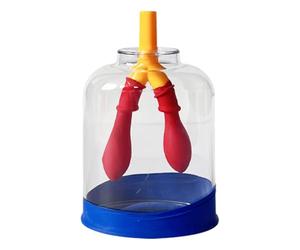 Modèle Du Système Respiratoire - Aide À L'apprentissage De La Fonction Pulmonaire Anti-rayures, Modèle D'anatomie Respiratoire De Précision, Outil De Démonstration Scientifique Pédagogique | Étude En