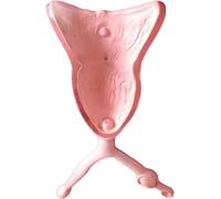 Modèle d'utérus, d'ovaires et de vessie de chien - Outil pédagogique d'anatomie vétérinaire for la formation médicale