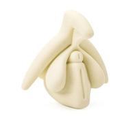 Modèle Éducatif Clitoris 3d Couleur Crème Anatomie Du Clitoris Medintim