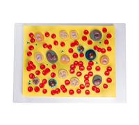 Modèle éducatif de cellules sanguines humaines anatomiquement exactes avec Identification numérique Claire pour l'enseignement et l'étude médicale