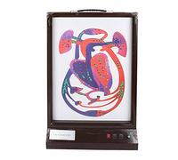 Modèle Électrique De Battement De Coeur Et De Circulation Sanguine, L'affichage Du Rythme Cardiaque Et De La Circulation Sanguine, Peut Ajuster La Vitesse Pour L'étude En Classe Scientifique Affichage