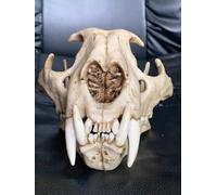 Modèle félin crâne de léopard des neiges, spécimen de dents d'os de crâne d'animal réaliste, modèle de tête de squelette de décoration de maison personnalisée for l'éducation scientifique,