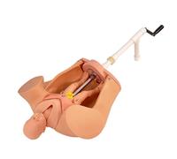Modèle féminin de production, simulateur d'accouchement pour la formation avancée en obstétrique, modèles pédagogiques de gynécologie et de maternité grandeur nature, mannequin utérin pour bébé, anato