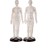 Modèle méridien d'acupuncture humaine de 50cm, Mannequin de Point corporel masculin et féminin for l'enseignement de la MTC, formation au Massage(Male)