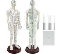 Modèle méridien humain 53,3 cm, modèle d'acupuncture corporelle masculine et féminine avec points anglais méridiens, mannequin d'acupuncture transparent haute définition pour entraînement de massage