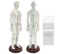 Modèle méridien humain 53,3 cm, modèle d'acupuncture corporelle masculine et féminine avec points anglais méridiens, mannequin d'acupuncture transparent haute définition pour entraînement de massage