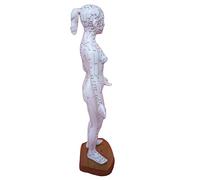 Modèle méridien humain de 48,3 cm - Modèle d'acupuncture chinois - Corps humain avec points méridiens - Modèle d'acupuncture médical chinois