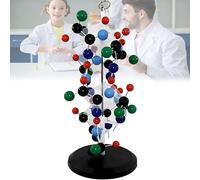Modèle moléculaire à double hélice en PVC pour l'enseignement des sciences de la biologie et de l'enseignement visuel