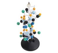 Modèle moléculaire de protéines en Plastique QH3212, modèle de Structure moléculaire, Salle de t école