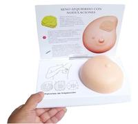 Modèle Pathologique Du Sein, Modèle D'auto-examen Du Sein Gauche, Simulant Des Masses Et Des Tumeurs Fibrokystiques, Avec Carte Arrière Illustrée, Pour L'enseignement Des Étudiants En Médecine
