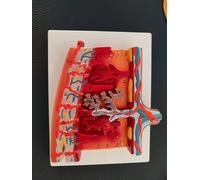 Modèle placenta - Modèle de tissu anatomique humain élargi pour une utilisation éducative, la section transversale démontre la circulation sanguine et la nutrition pour les aides pédagogiques