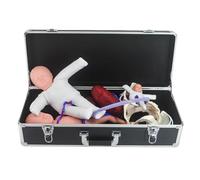 ModèLe Placentaire avec Cordon Ombilical-ModèLe Pelvien en PVC, Contractions De Grossesse, pour l'enseignement MéDical en Soins Infirmiers